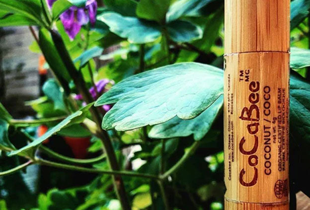 The Only Lip Balm You’ll Need 3 Natural Flavors, Zero Chemicals
