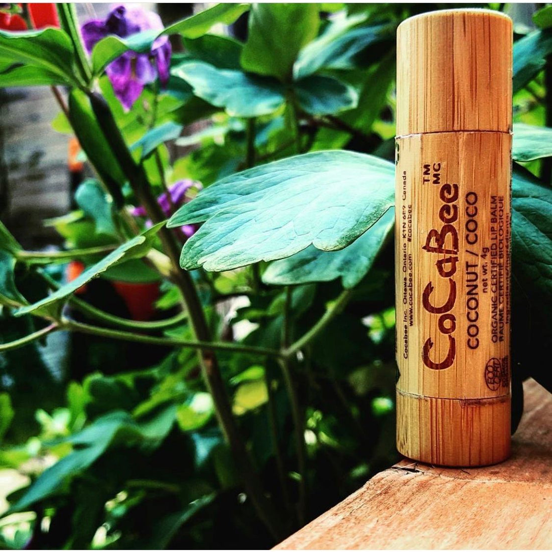 Coconut flavour lipbalm